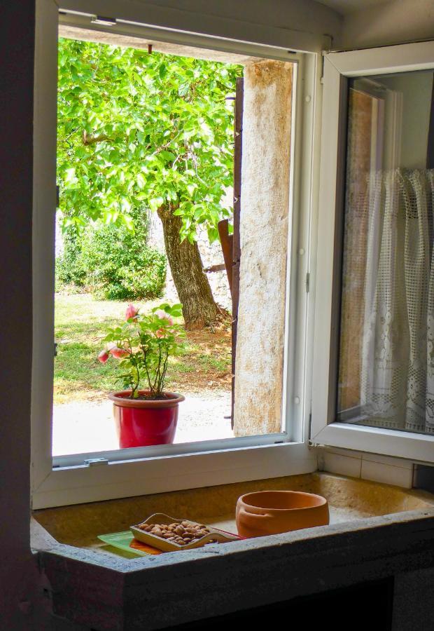 Kaštelir Casa Istriana Nona Pinaヴィラ エクステリア 写真
